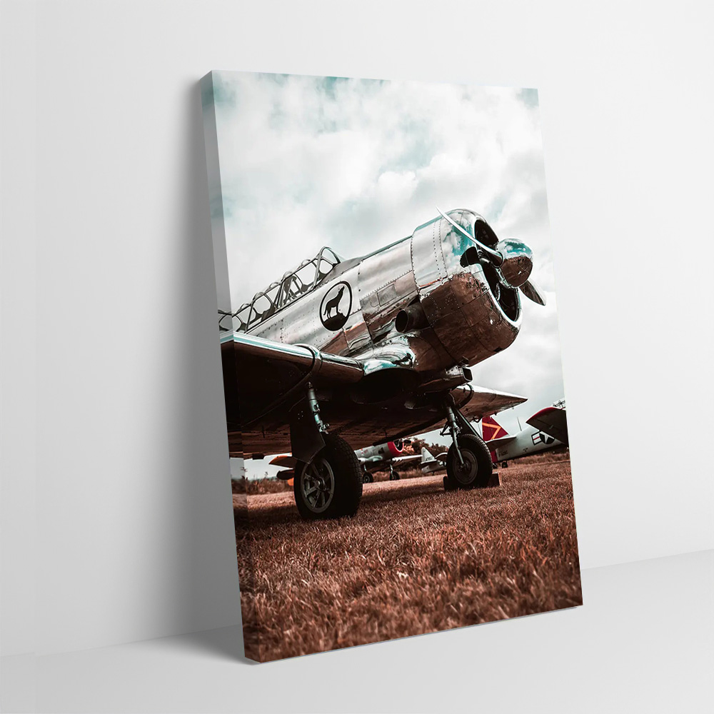 Home Decor Interior - Shiny Boy Poster Customizable Printed Canvas