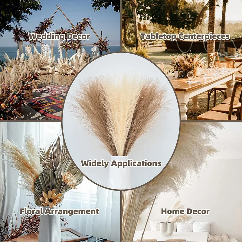 5/10pcs Fluffy Pampas Grass Bo - Pampas Grass Decor 评论和价格