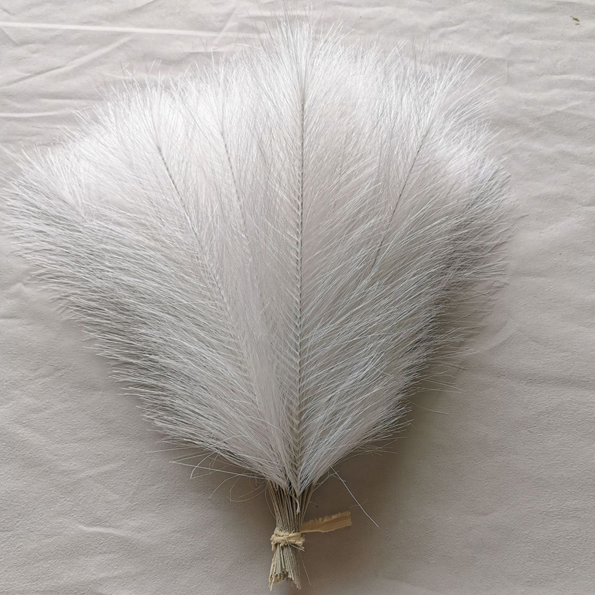 10/20Pc Pampas Grass Reed Arti - Pampas Grass Decor 评论和价格