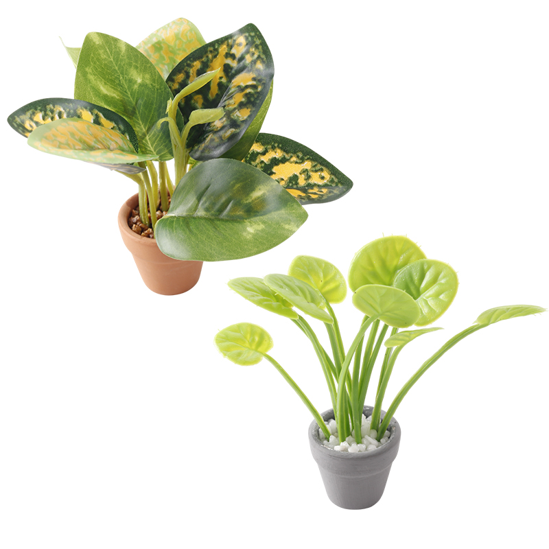 1/12 Dollhouse Miniature Plant - Home Decor Resin 评论和价格