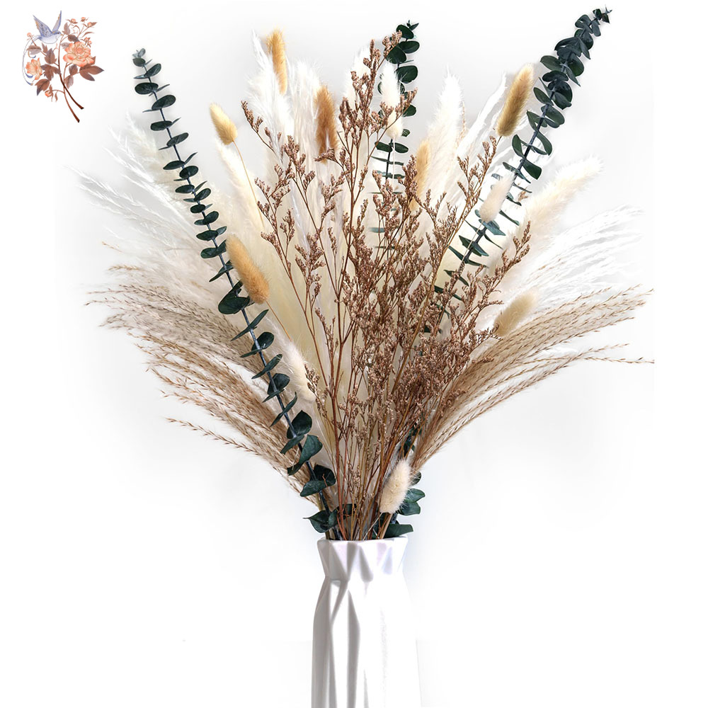 50pcs Bunny Tail Pampas Grass  - Pampas Grass Decor 评论和价格