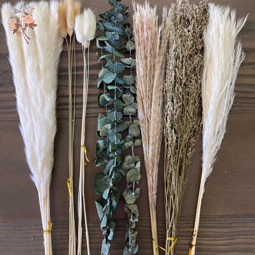 50pcs Bunny Tail Pampas Grass  - Pampas Grass Decor 评论和价格