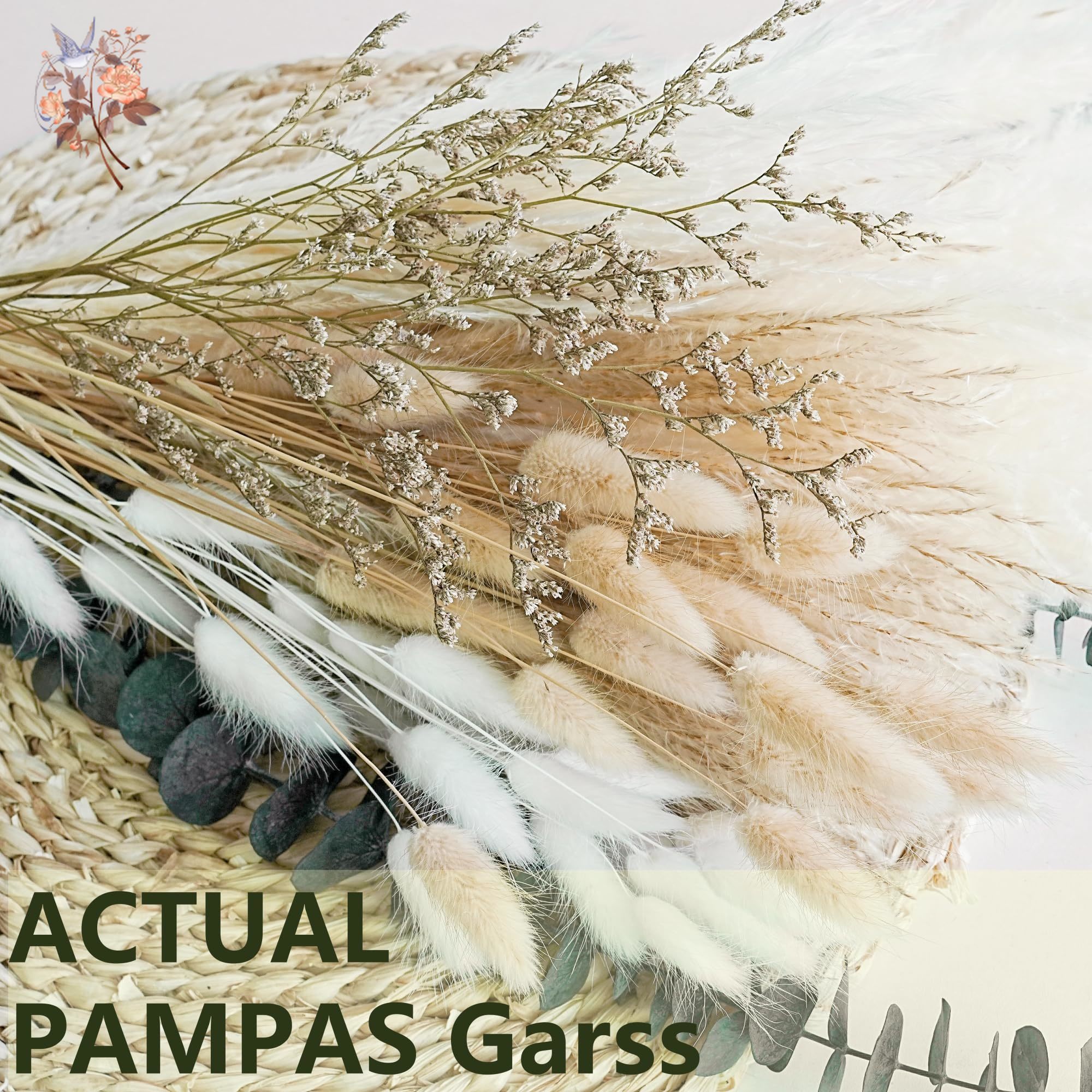 50pcs Bunny Tail Pampas Grass  - Pampas Grass Decor 评论和价格