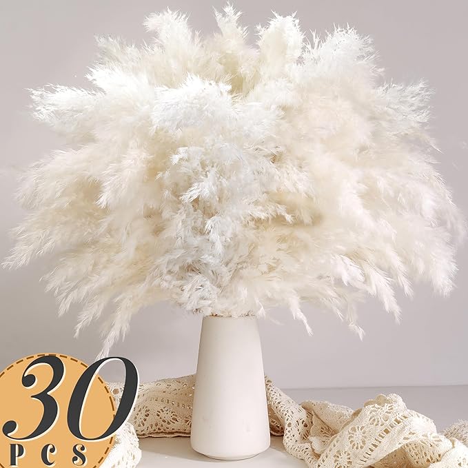 30PCS White Pampas Grass for H - Pampas Grass Decor 评论和价格