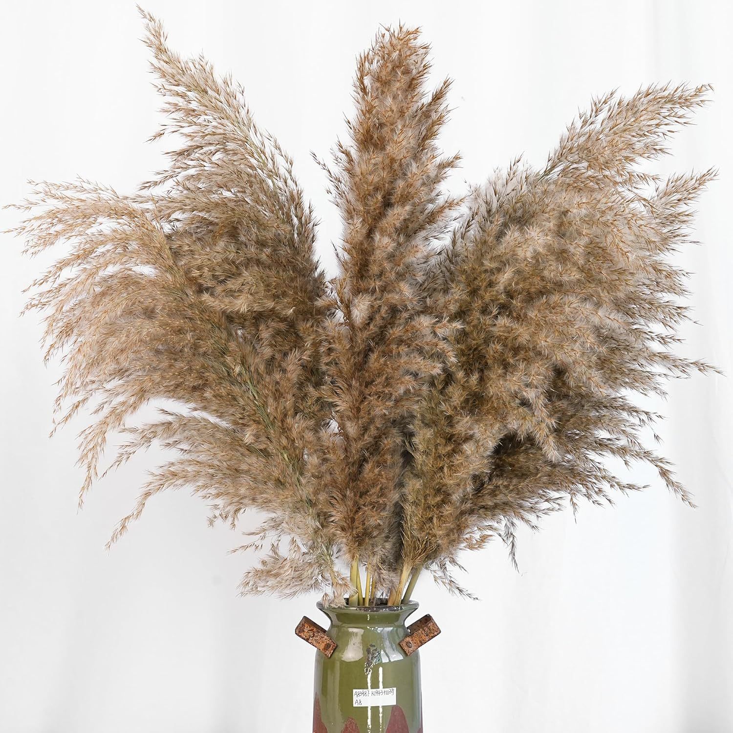 30PCS White Pampas Grass for H - Pampas Grass Decor 评论和价格