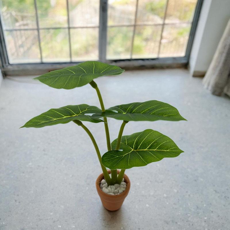 1Pcs Dollhouse Philodendron Mi - Home Decor Resin 评论和价格