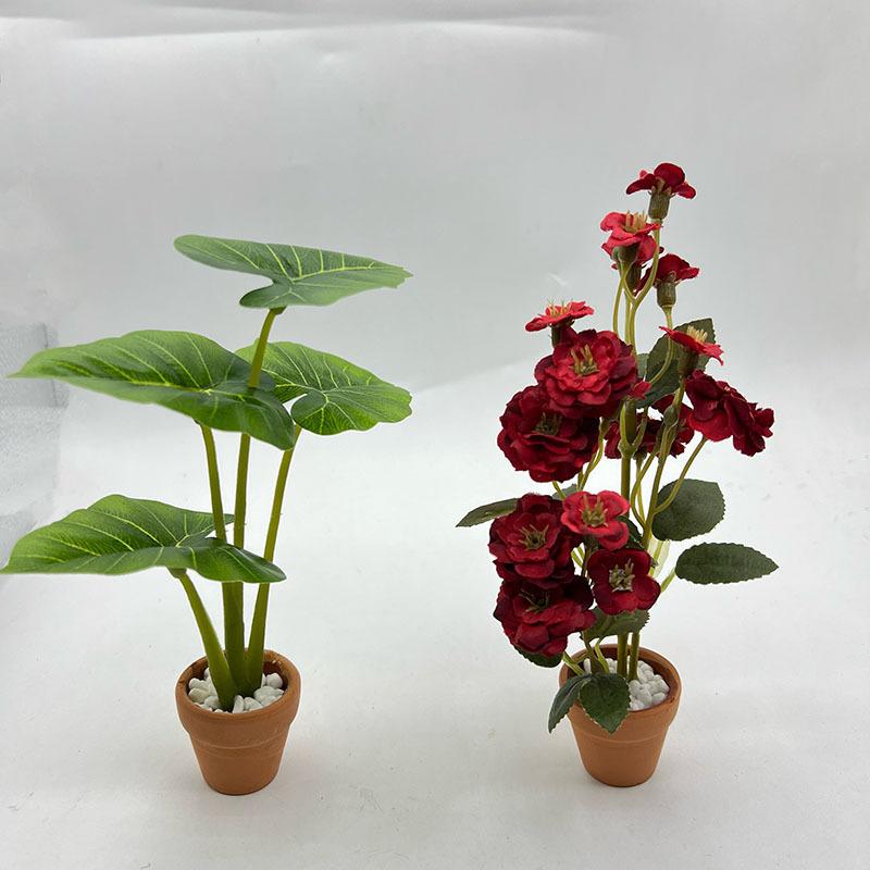 1Pcs Dollhouse Philodendron Mi - Home Decor Resin 评论和价格