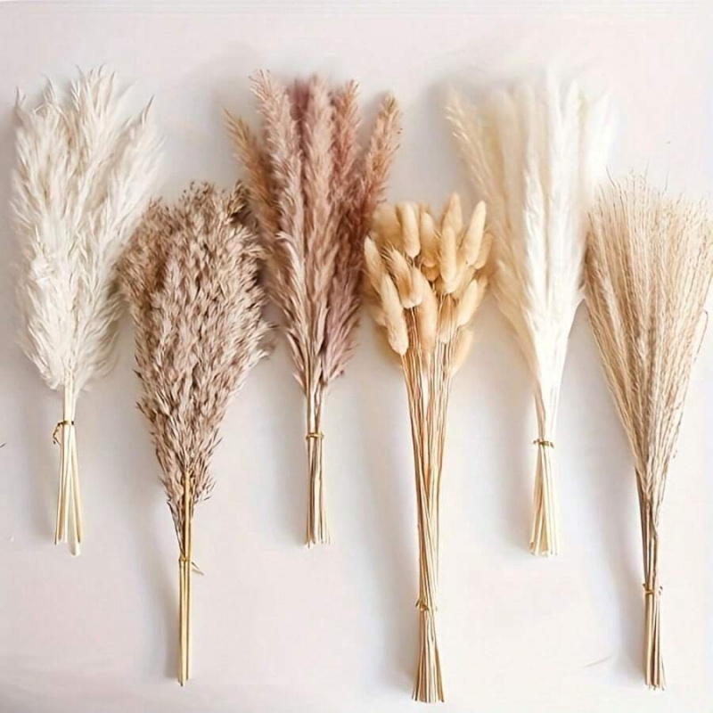 110pcs Dried Pampas Grass Bouq - Pampas Grass Decor 评论和价格