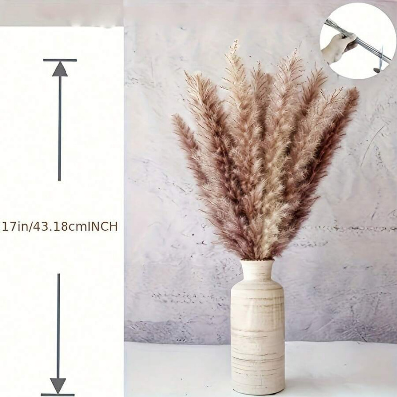 110pcs Dried Pampas Grass Bouq - Pampas Grass Decor 评论和价格