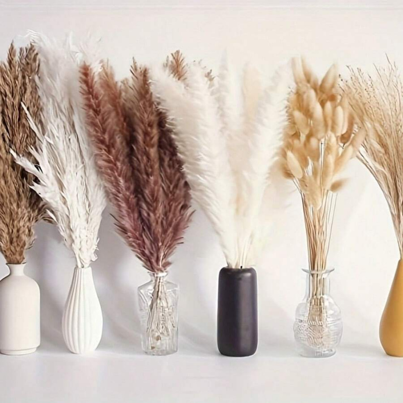 110pcs Dried Pampas Grass Bouq - Pampas Grass Decor 评论和价格