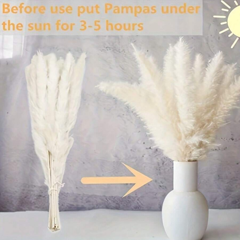 110pcs Dried Pampas Grass Bouq - Pampas Grass Decor 评论和价格