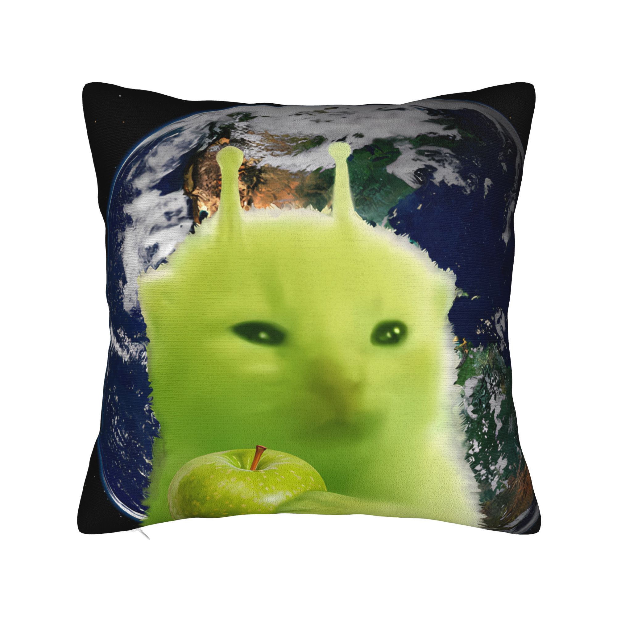Green Alien Cat Meme Pillow Co - Home Decor Design Ideas 评论和价格