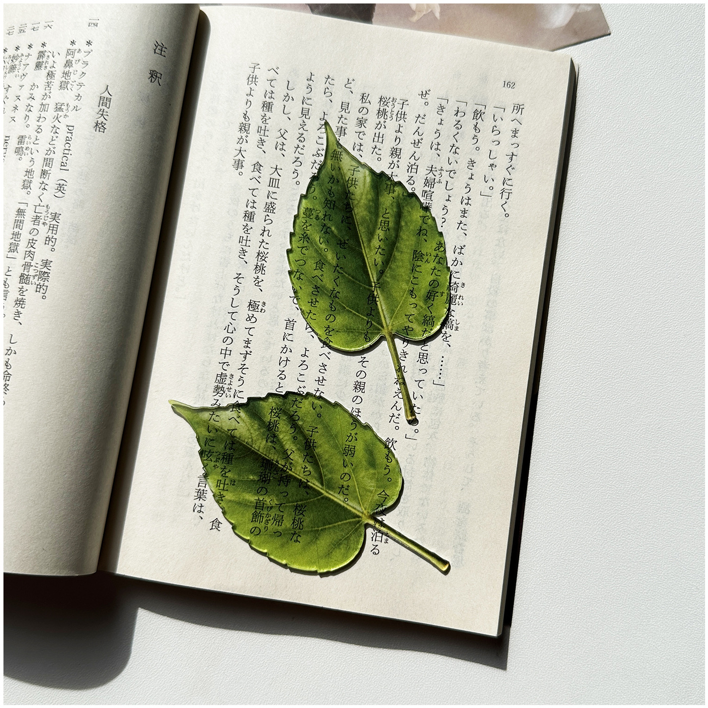 Original Bookmark Acrylic Tran - Aesthetic Bookend 评论和价格