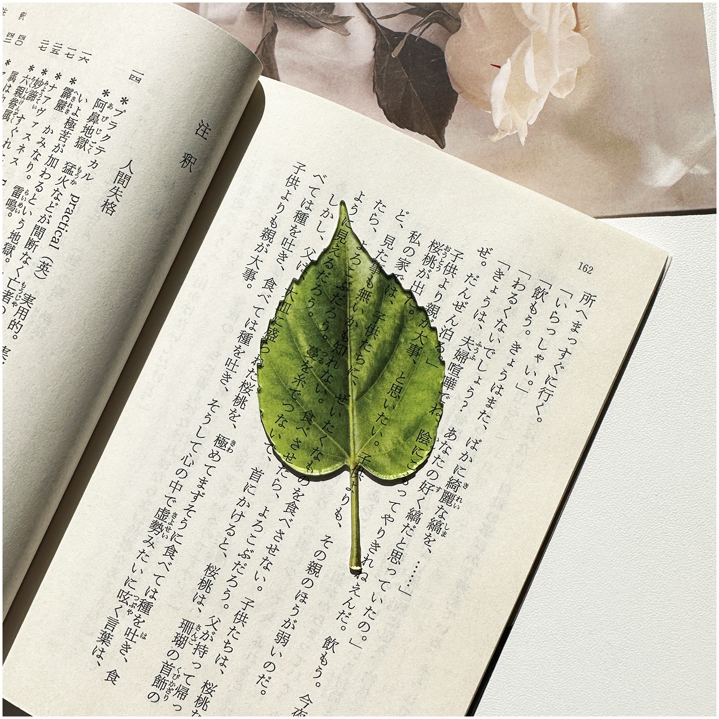 Original Bookmark Acrylic Tran - Aesthetic Bookend 评论和价格