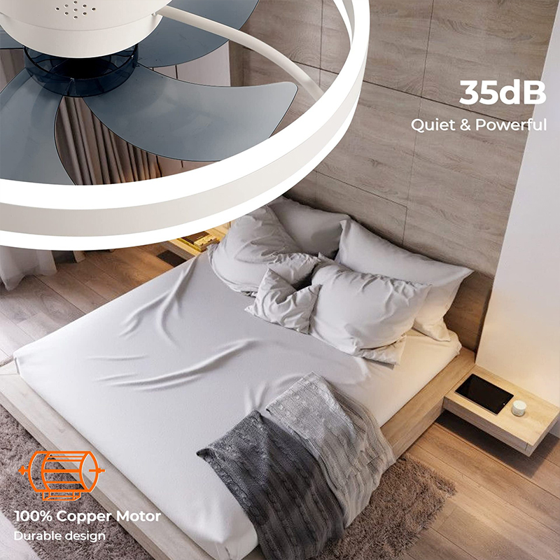 LED Ceiling Light Fan With APP - Home Decor App Free 评论和价格